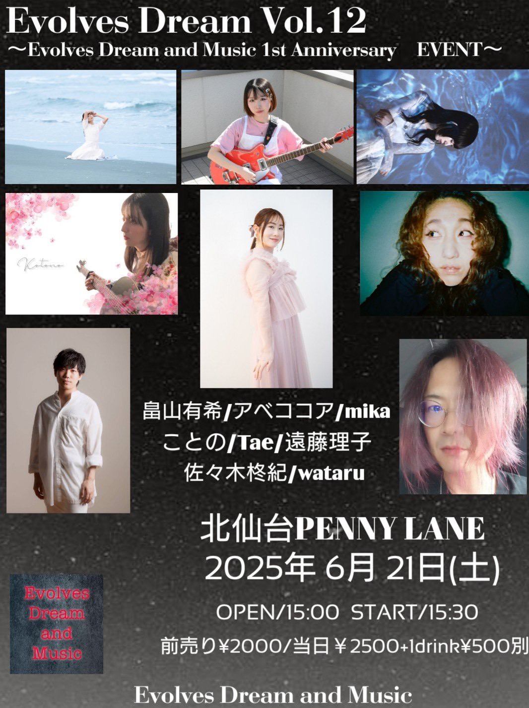 Evolves Dream Vol.12